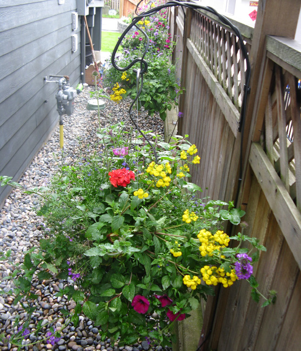 Garden Rotator Sprinkler