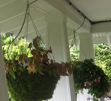 Garden Rotator Sprinkler