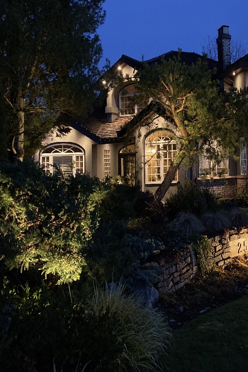 Low Voltage Landscape Lighting Project